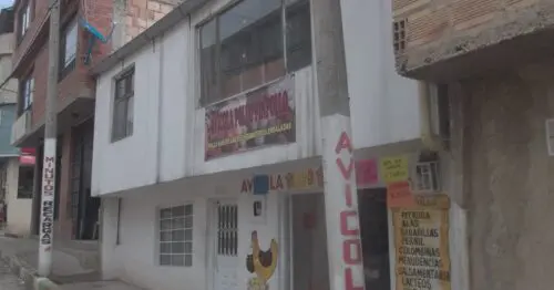 AVICOLA POLLO PIMPOLLO AVICOLA POLLO PIMPOLLO
